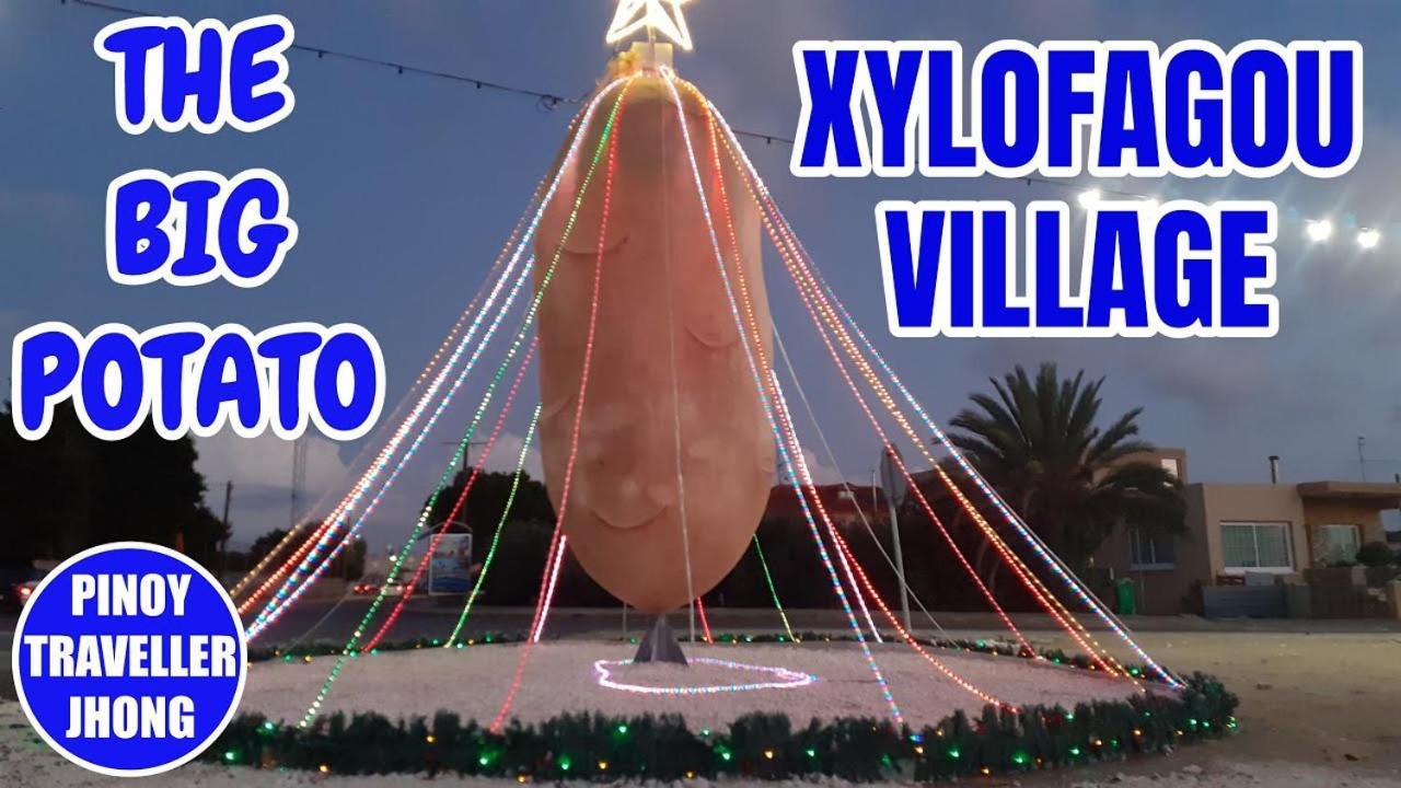 Xylophaghou -= Studio Love =- מראה חיצוני תמונה
